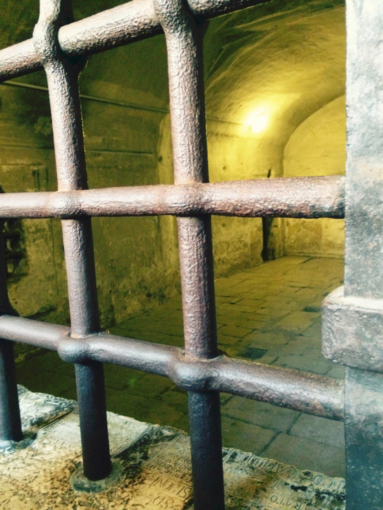 Prison Cells Doge